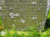 image of grave number 142958